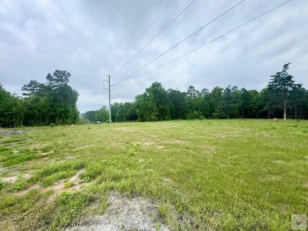 Picture 8