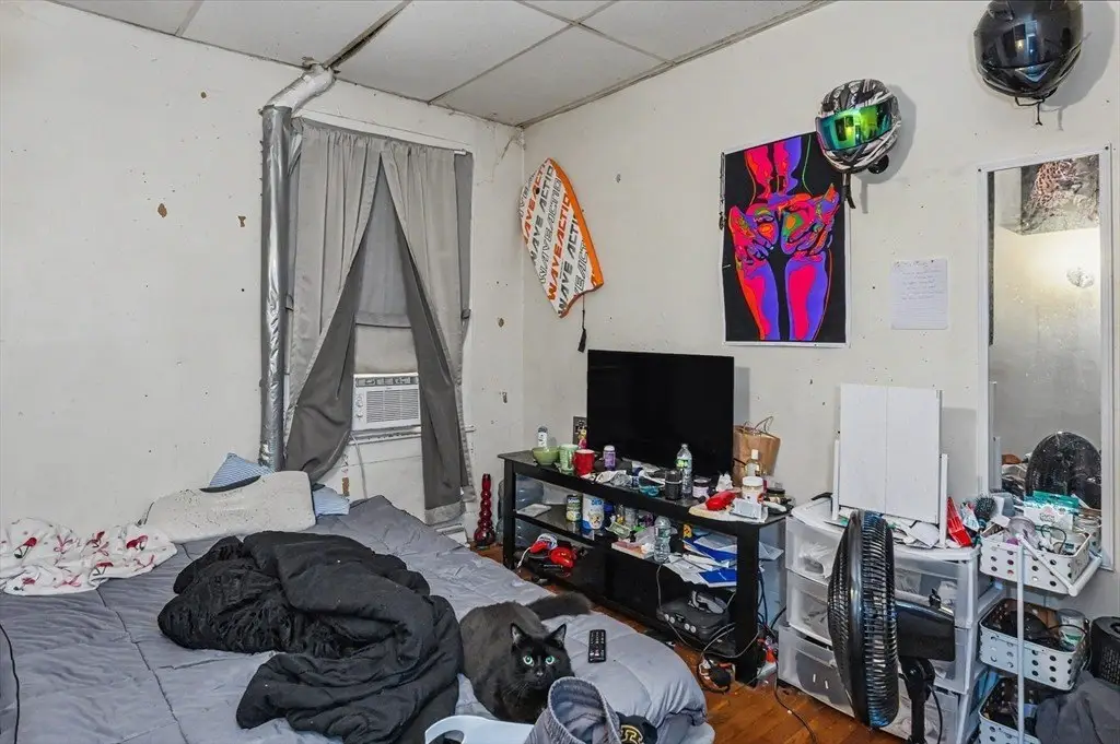 Picture 11