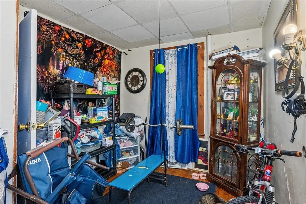 Picture 8