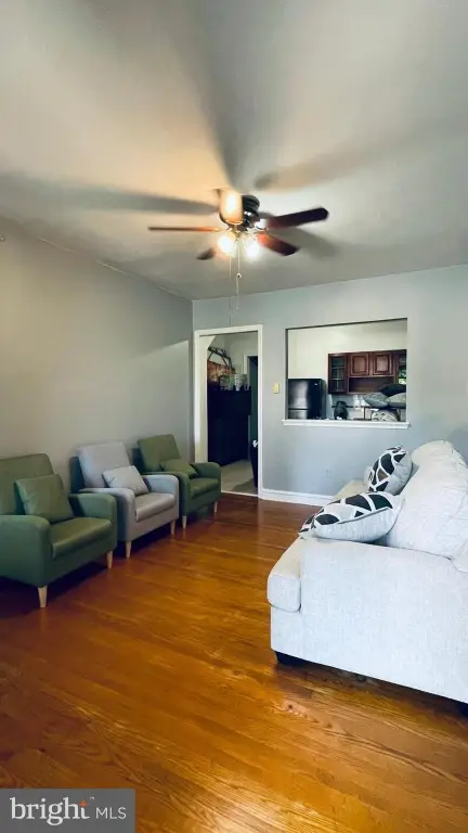 Picture 5