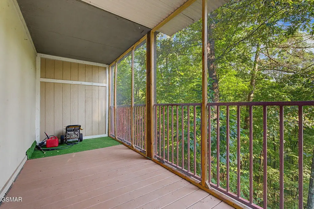 Picture 41