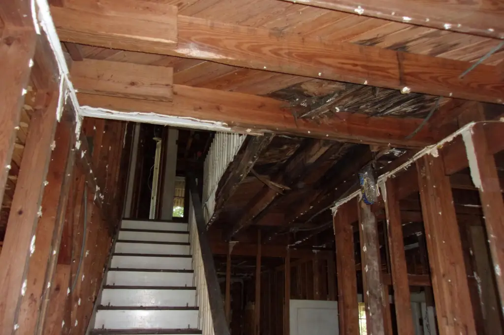 Picture 6