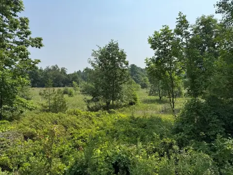 Egg Harbor Land Parcel