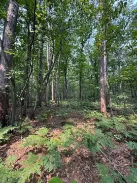 Sturgeon Bay Residential Land Parcel