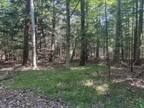 Wooded Lot Near Lake Michigan