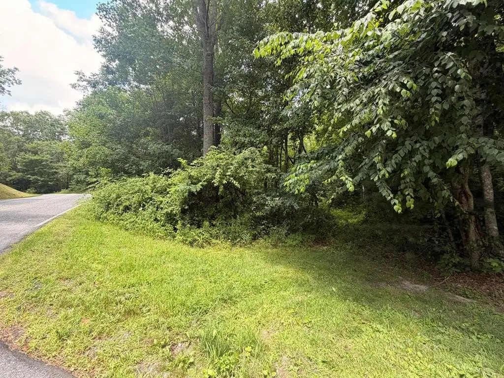 Picture 23