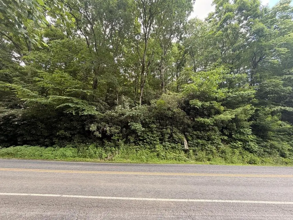 Picture 20