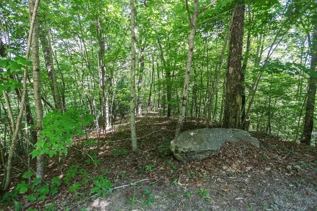 Picture 21