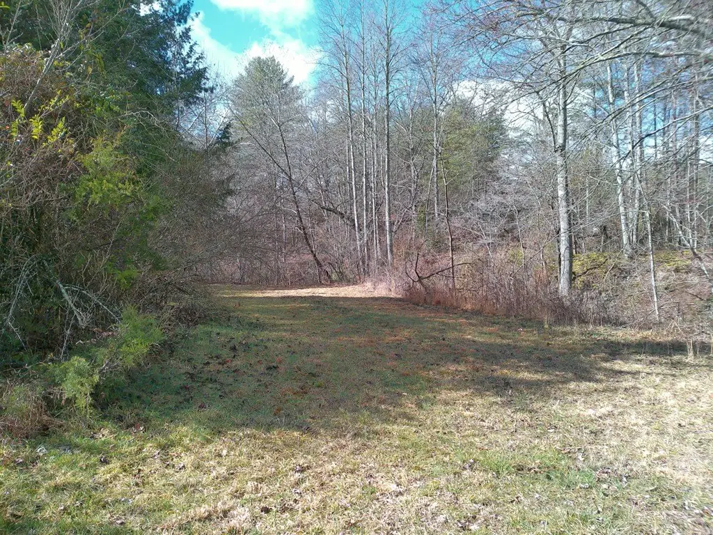 Picture 8