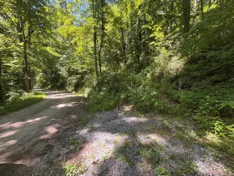 Wooded Mountain Homesite Land