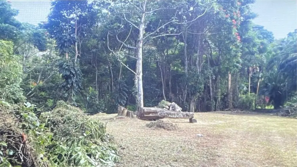 Picture 8