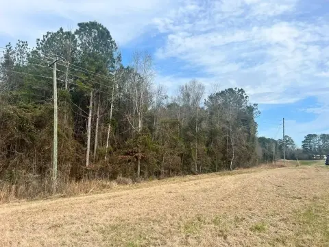 Jasper County Land For Sale