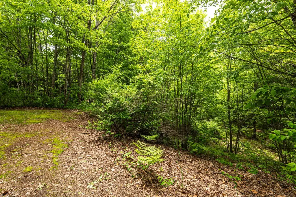 Picture 48