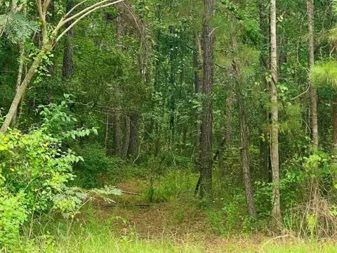 Picayune Land For Development