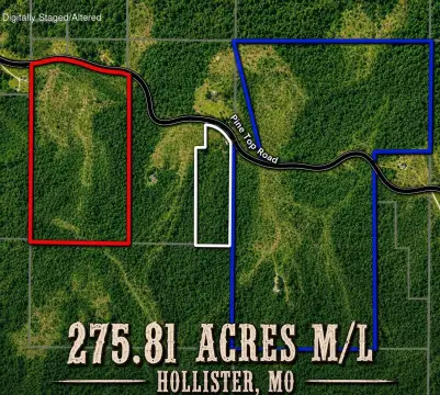 Whitetail Hunting Land