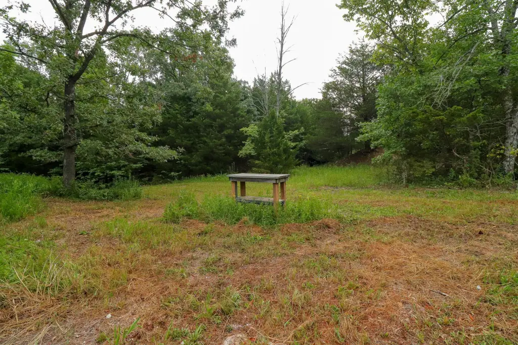 Picture 36