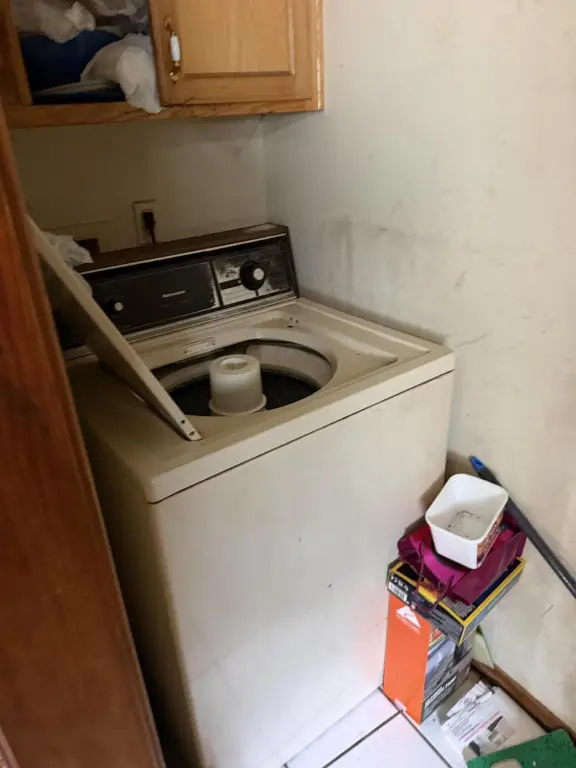 Picture 53