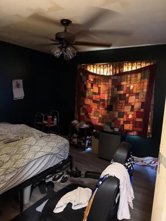 Picture 41