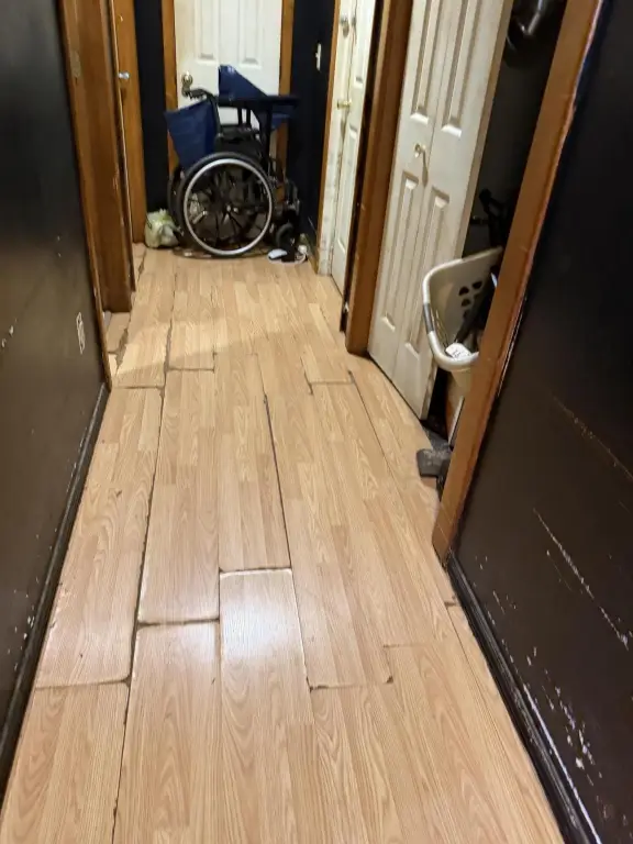 Picture 46