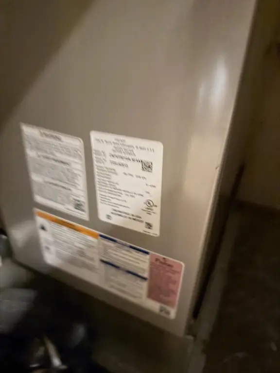 Picture 44
