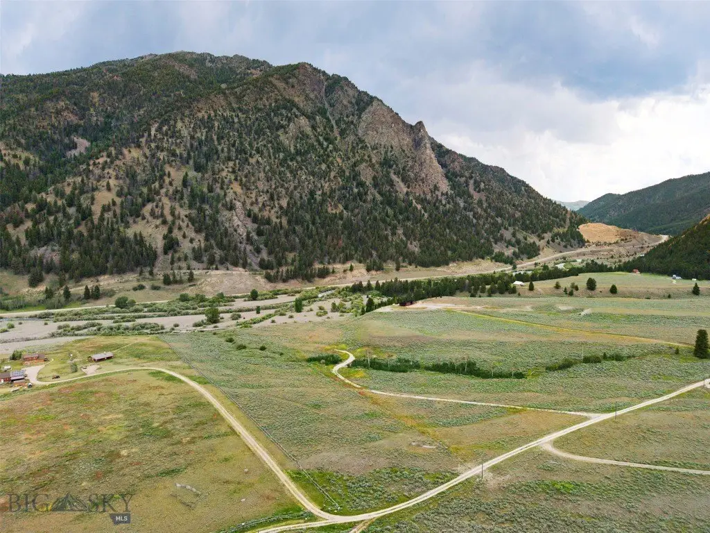 Picture 8