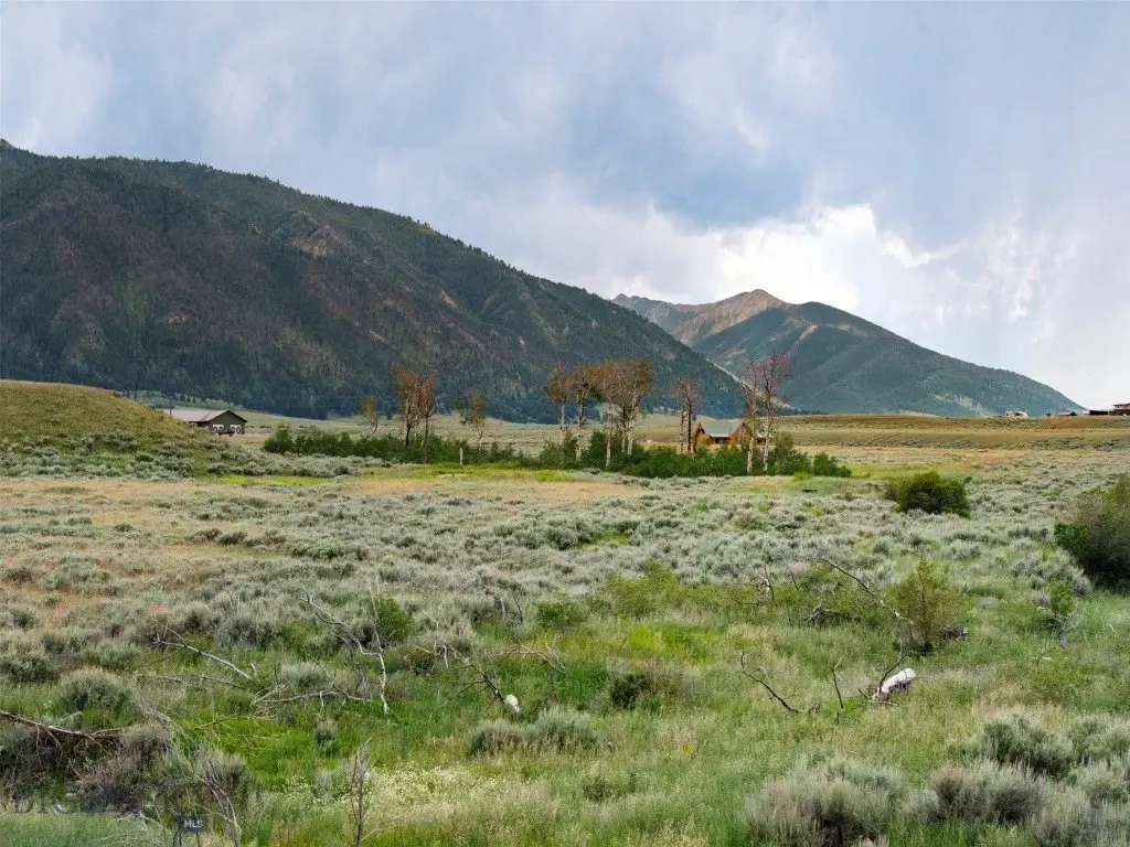 Picture 25
