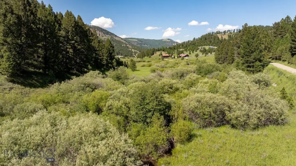 Picture 55