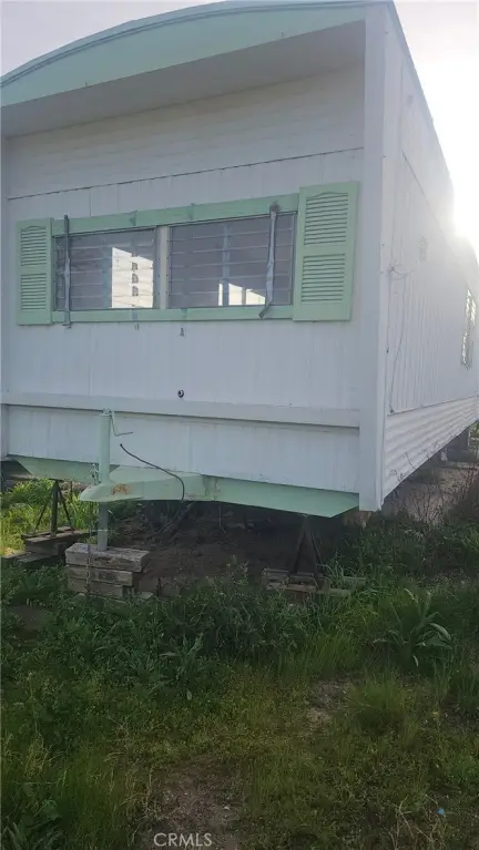 Picture 5