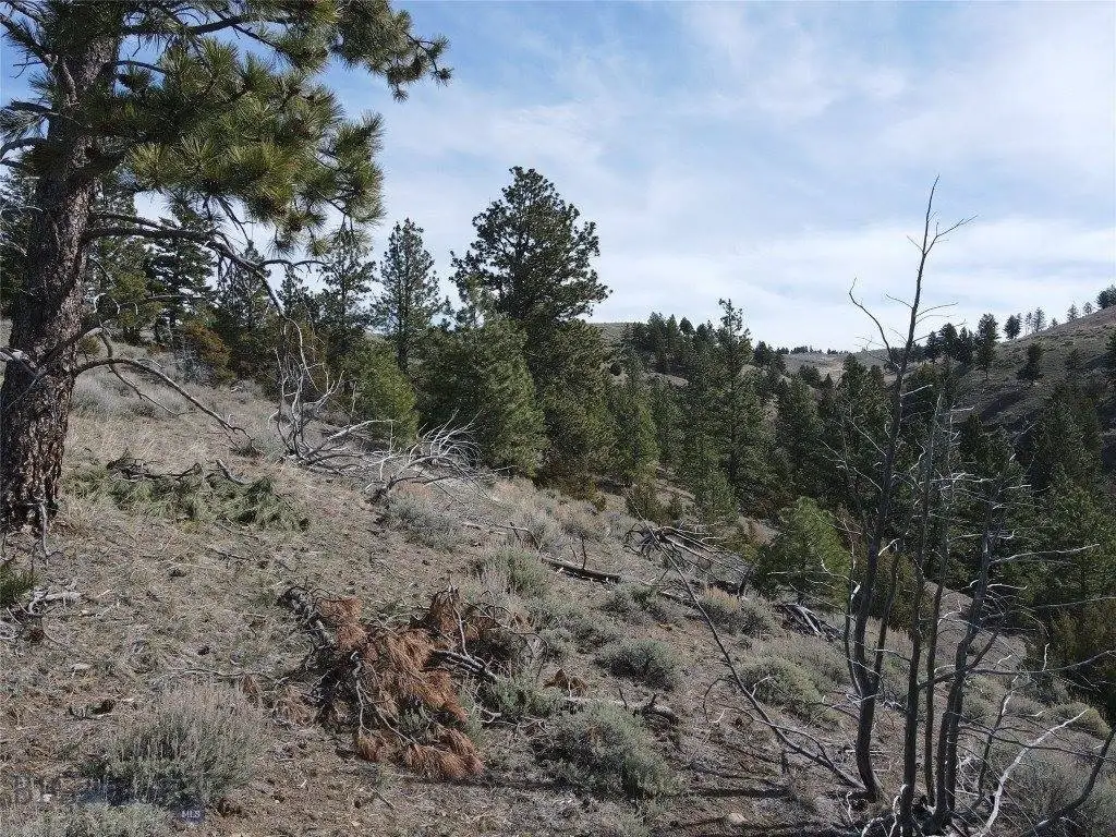 Picture 10