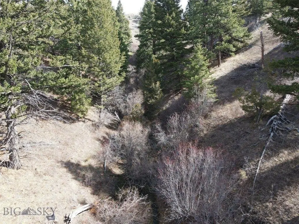 Picture 12