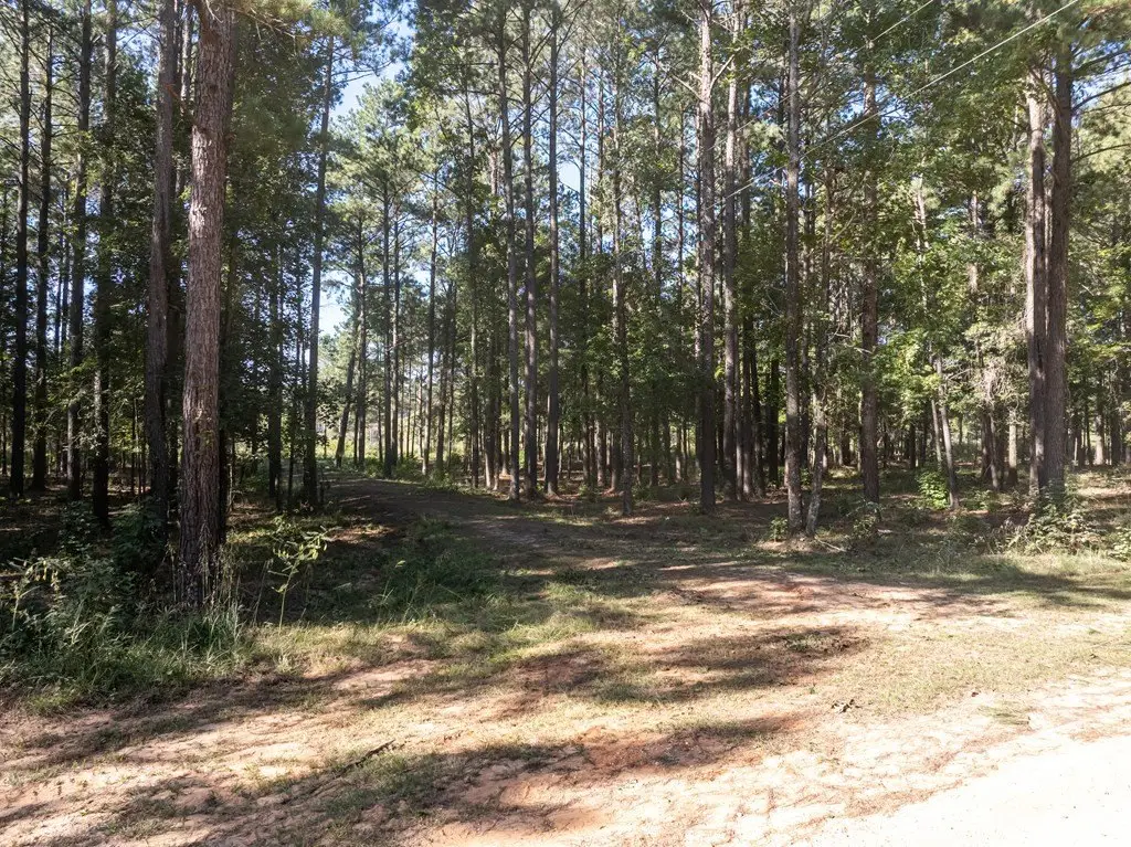Picture 4