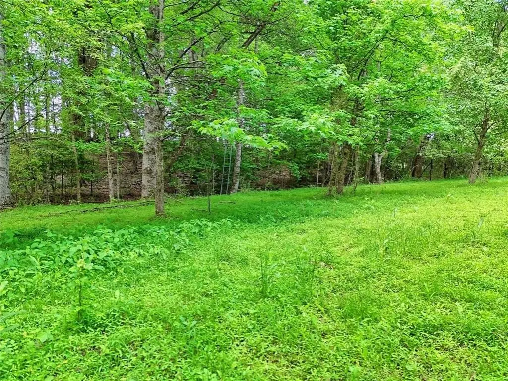 Picture 23