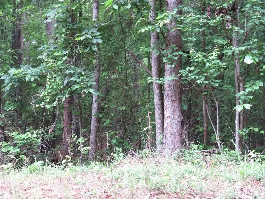 Picture 8