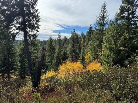 Secluded Hunting Land in Donnelly, ID