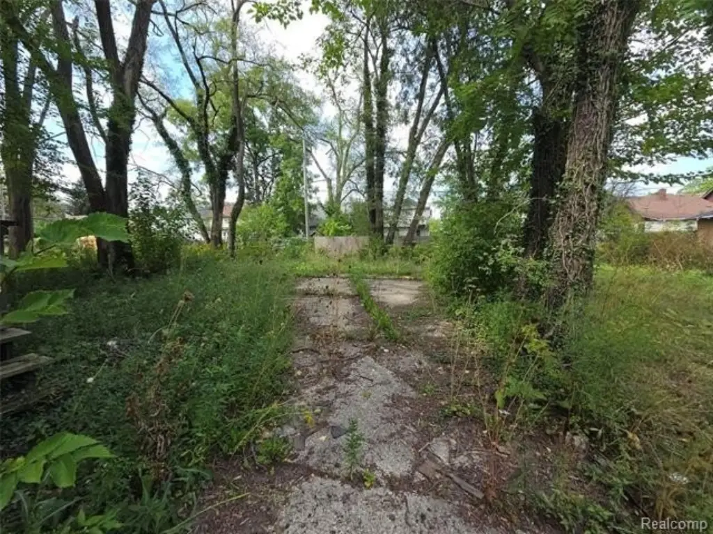 Picture 7