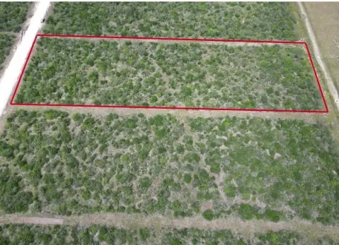 Skidmore Land Tract For Sale