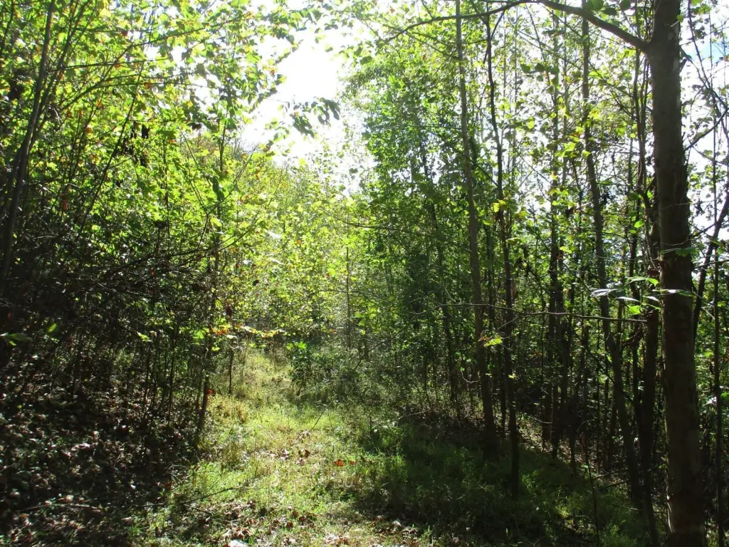 Picture 7