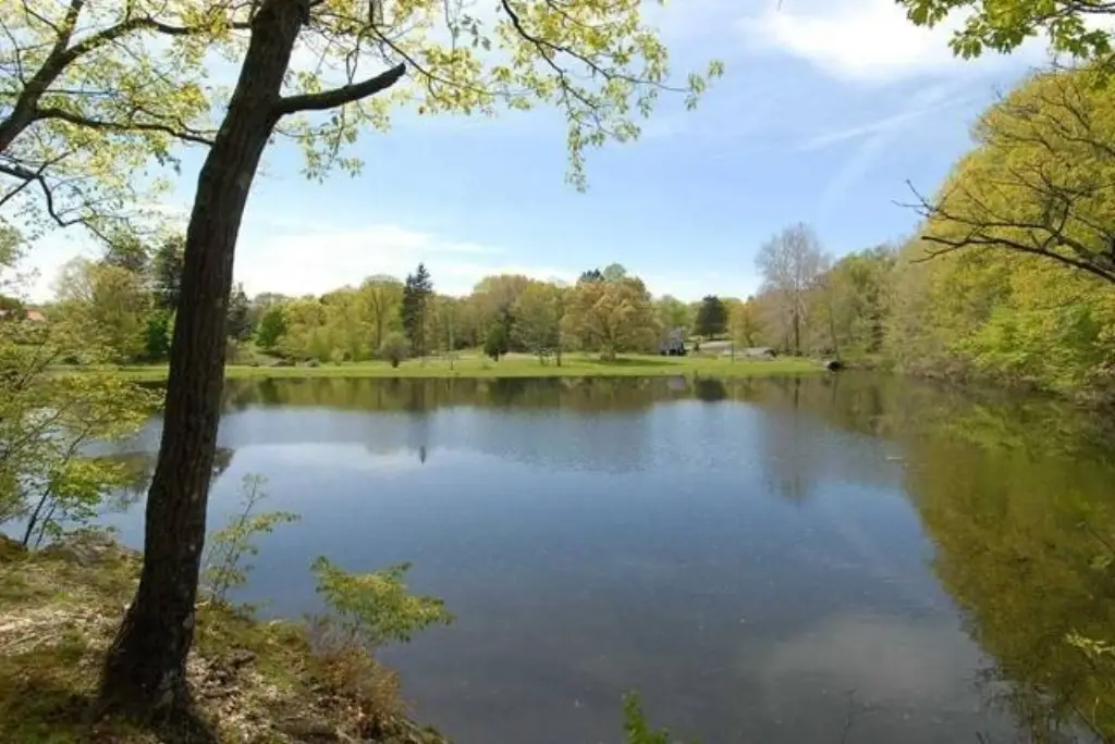 Picture 2