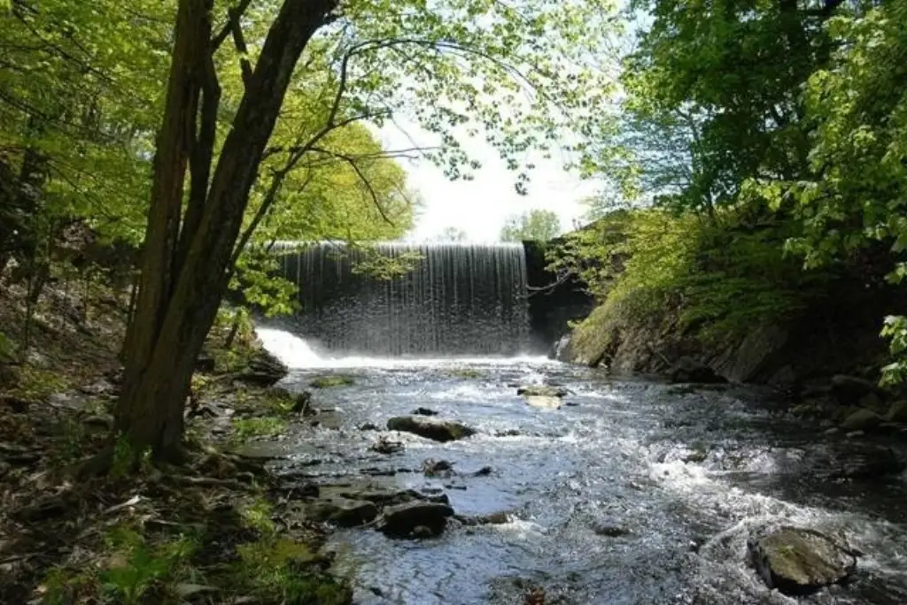 Picture 3