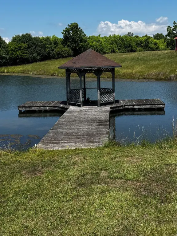 Picture 5