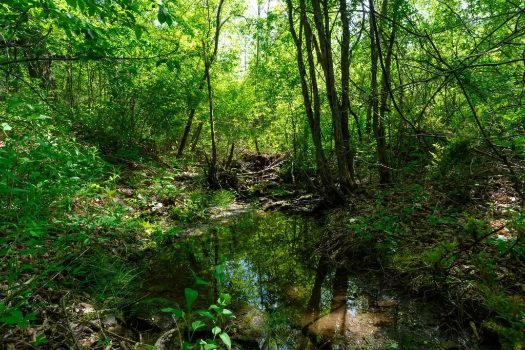 Picture 16
