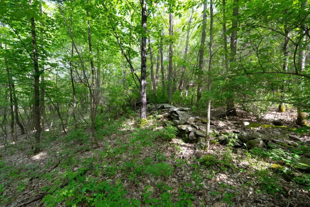 Picture 17