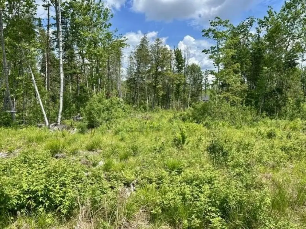 Picture 3