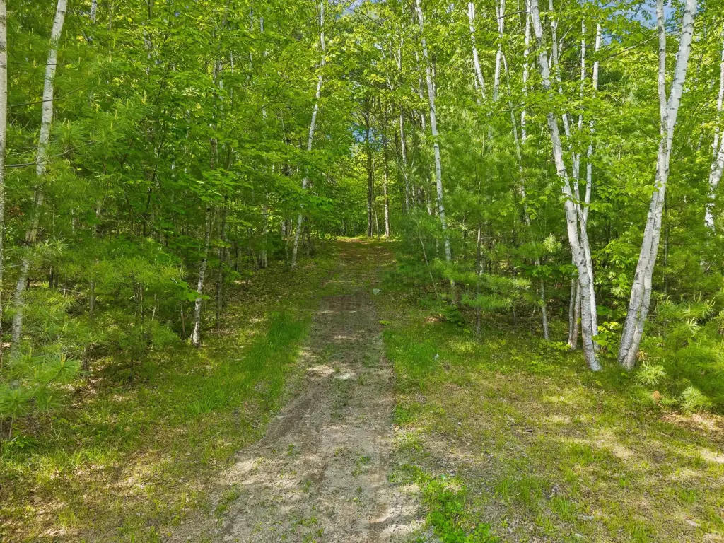 Picture 30