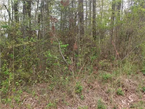 Land For Sale, Chester, VA