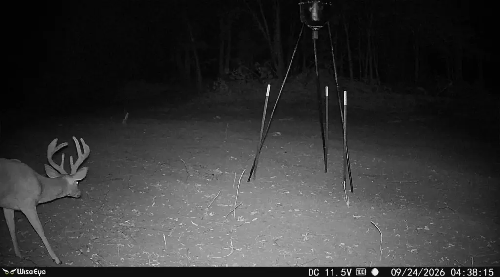 Picture 17