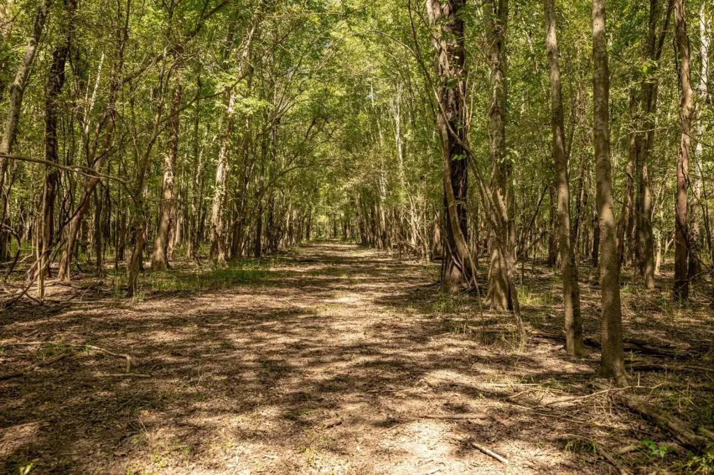 Picture 21