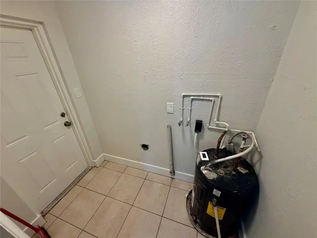Picture 7