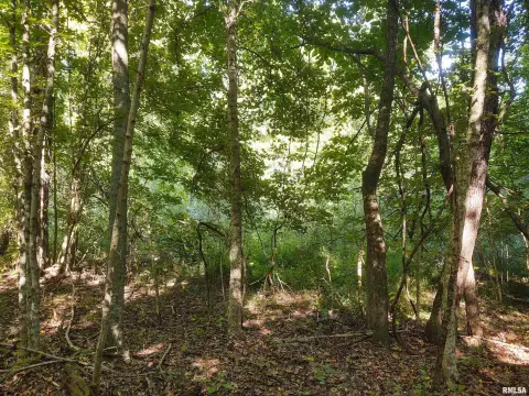 Wooded Acres Near Shawnee Forest