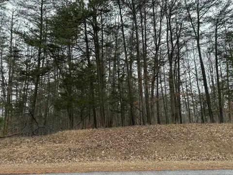 Martinsville Wooded Lot For Sale
